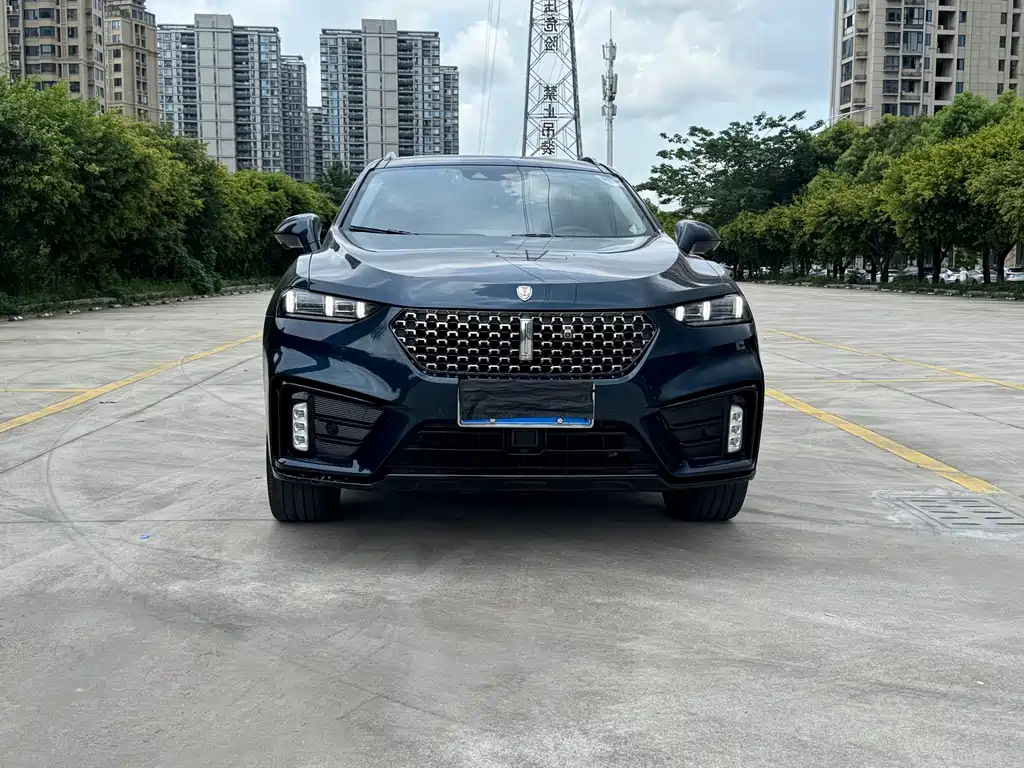 WEI PAI WEI BRAND VV7