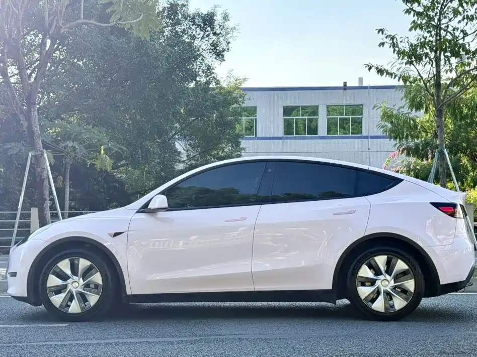 Tesla Model Y — миниатюра 9