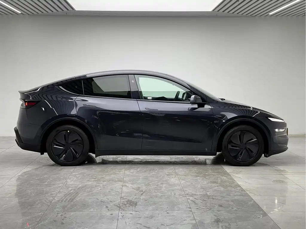 Tesla Model Y — миниатюра 8