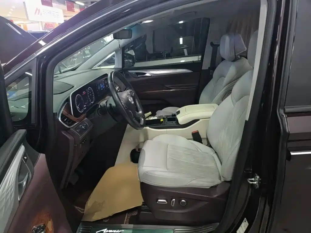 Buick GL8 — миниатюра 15