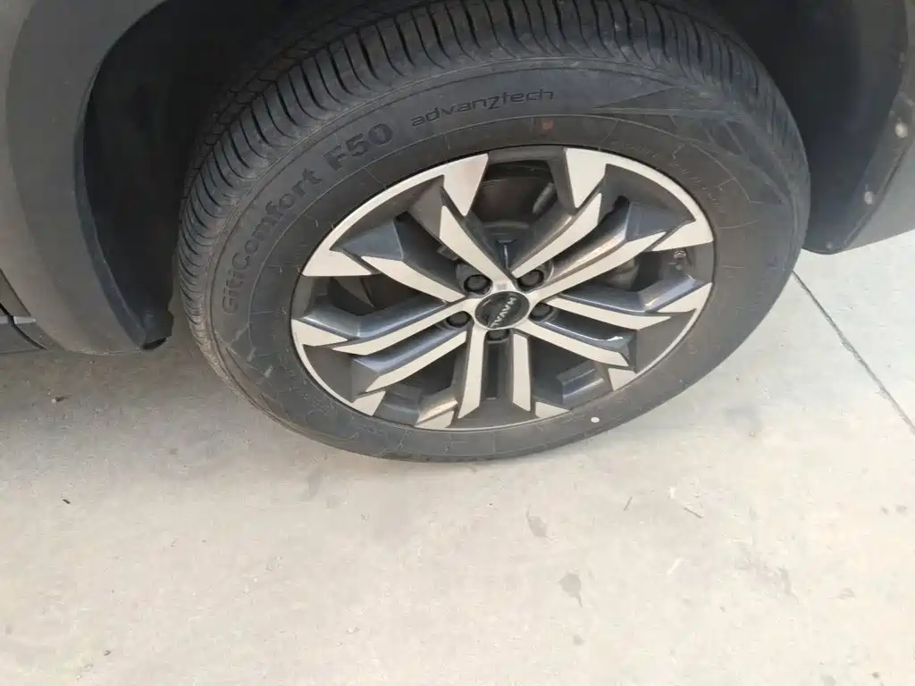 Haval Big Dog — миниатюра 24