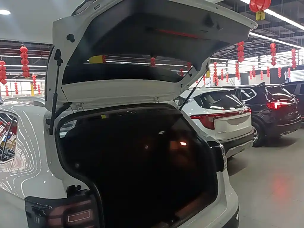 Volkswagen Tacqua — миниатюра 19