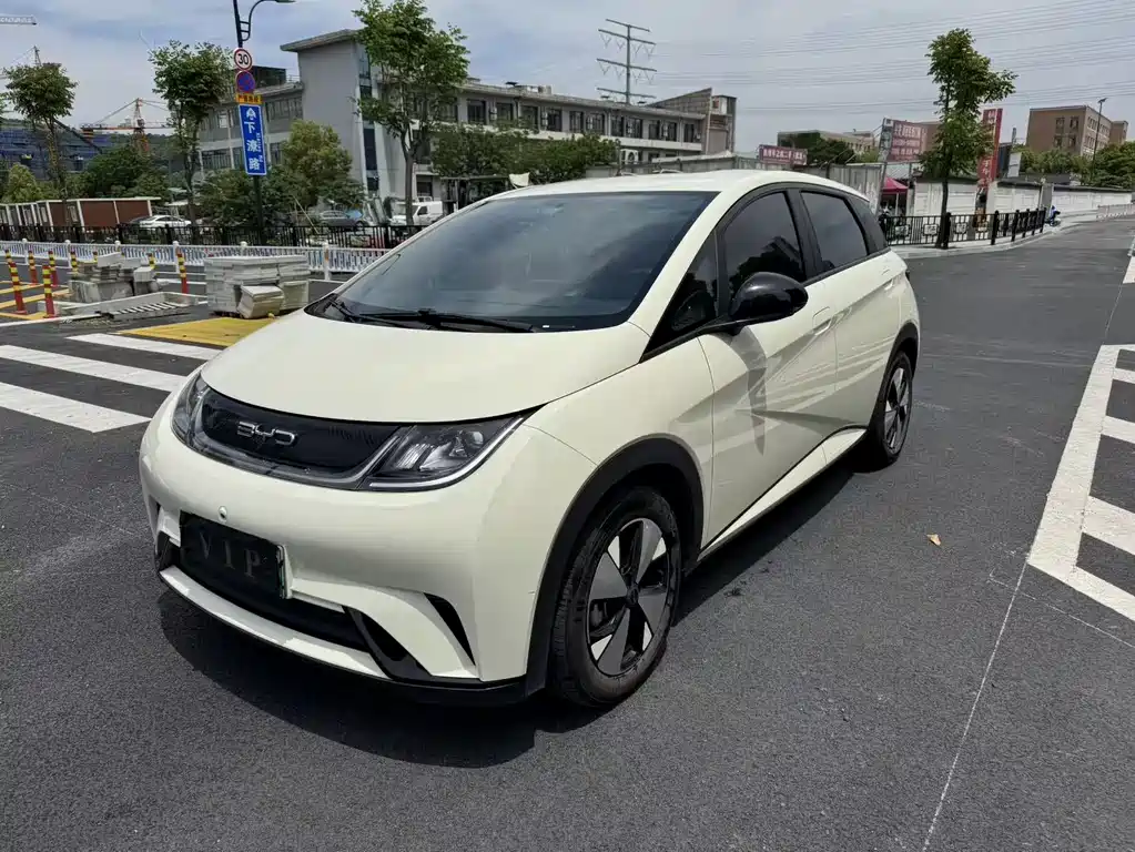 Byd Dolphin 2024