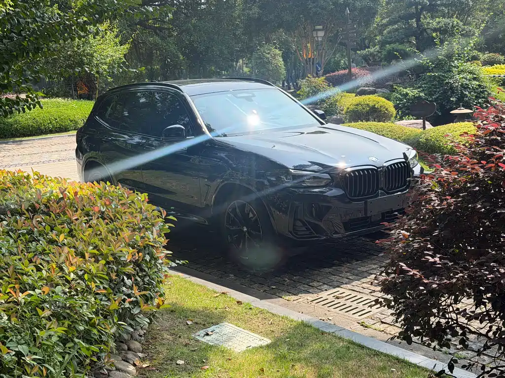 BMW X3 — миниатюра 4