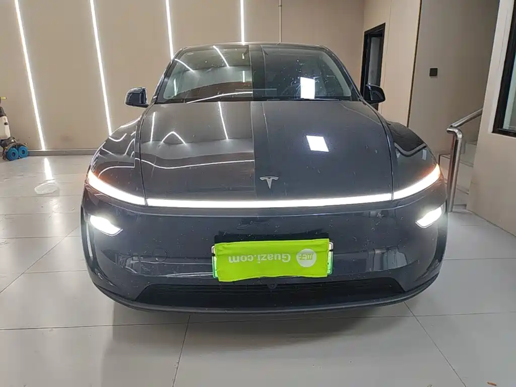 Tesla Model Y — миниатюра 3