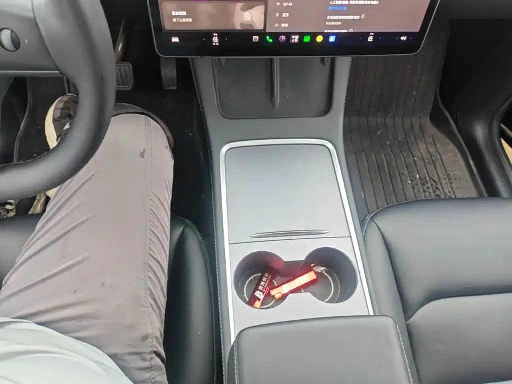 Tesla Model Y — миниатюра 14