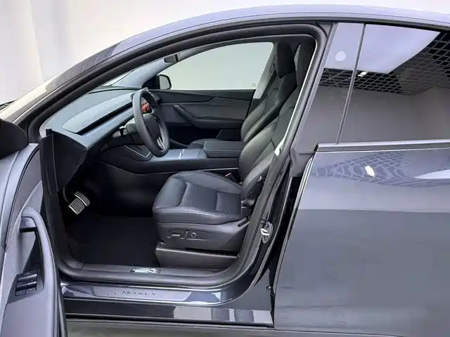 Tesla Model Y — миниатюра 8