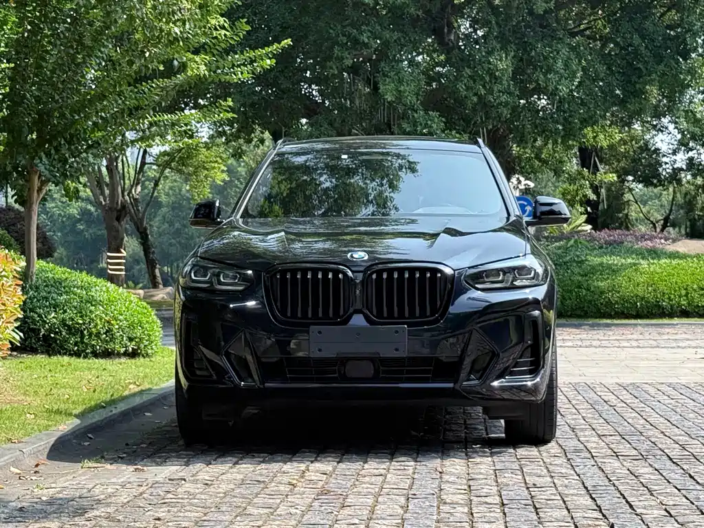 BMW X3 — миниатюра 2
