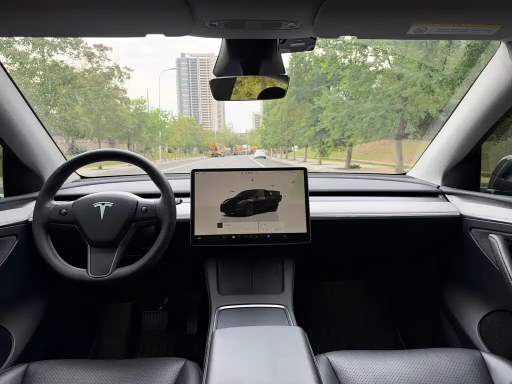 Tesla Model Y — миниатюра 13