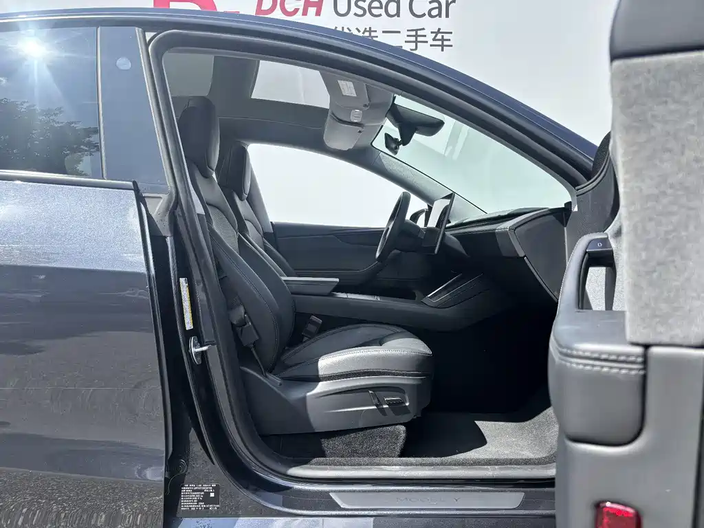 Tesla Model Y — миниатюра 10