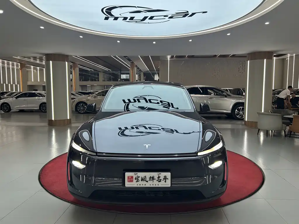 Tesla Model Y — миниатюра 2