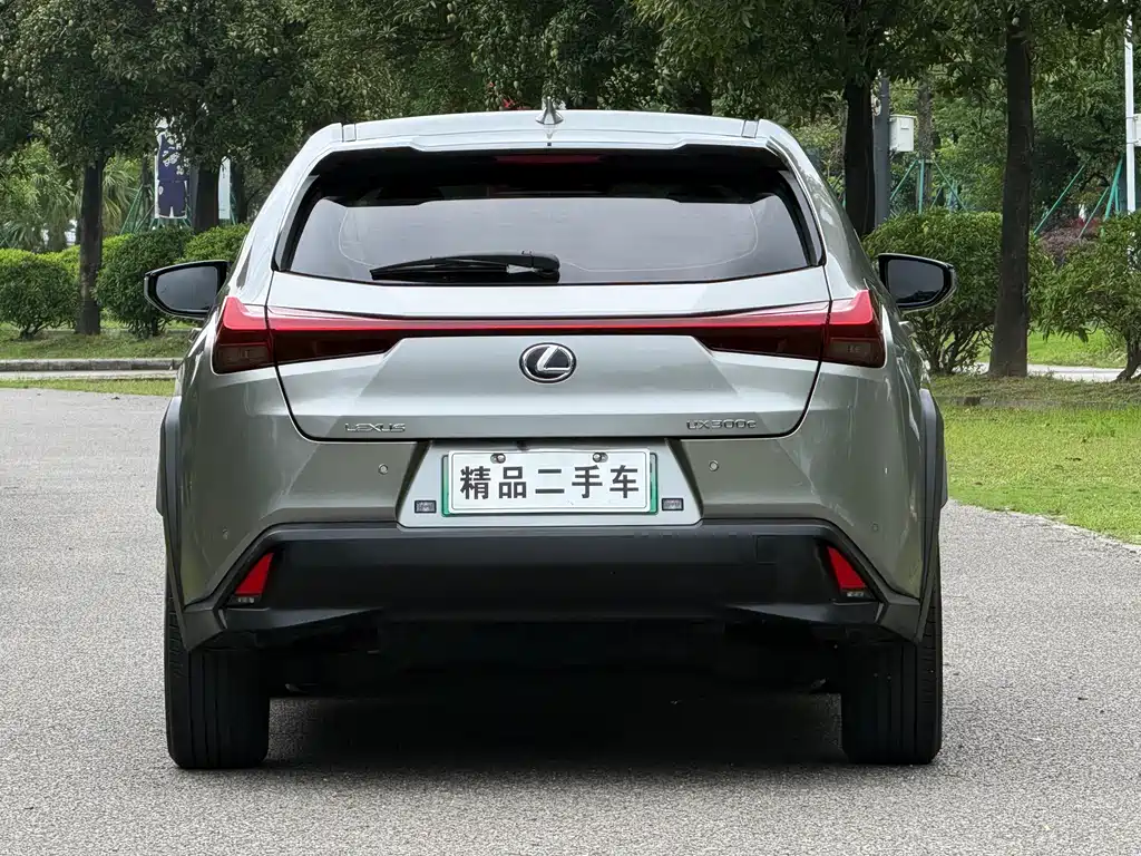 Lexus UX 2020 300e
