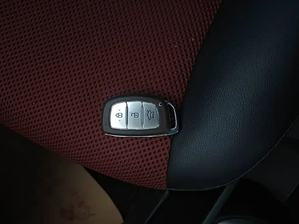 Hyundai Ruiyi — миниатюра 9