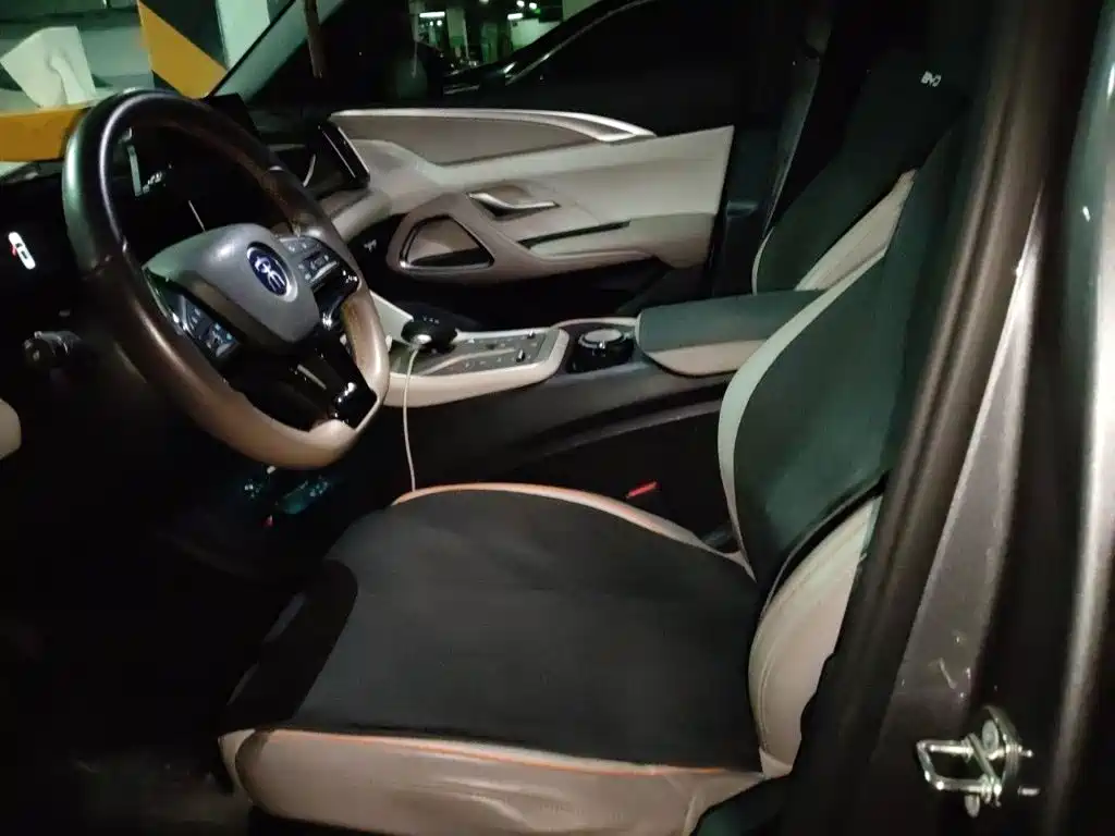 BYD Pro New Energy — миниатюра 11