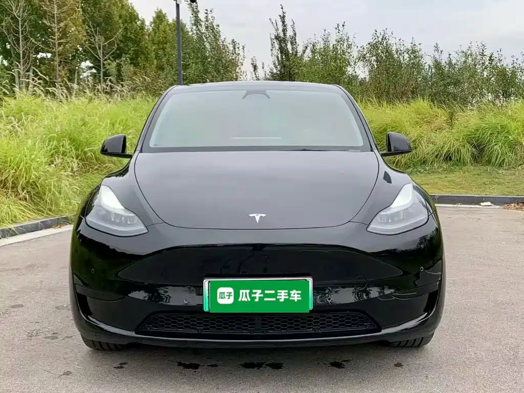 Tesla Model Y — миниатюра 3