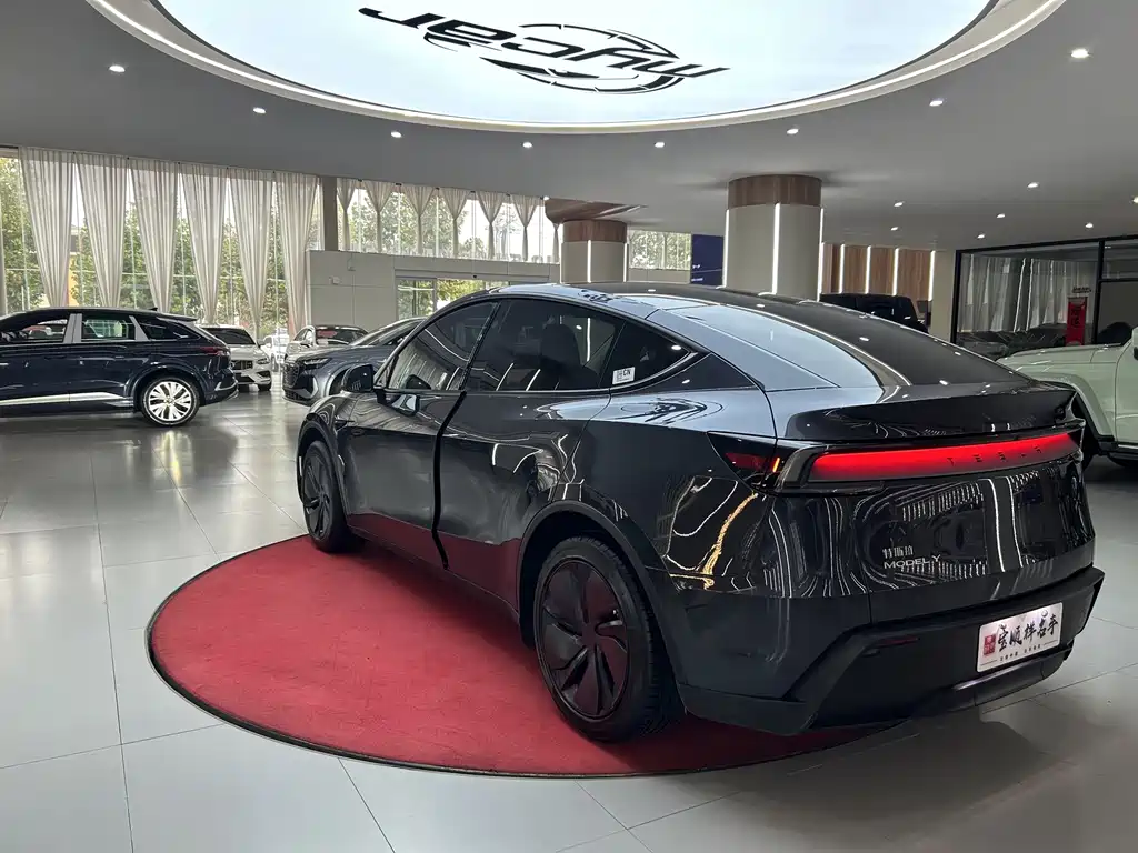 Tesla Model Y — миниатюра 7