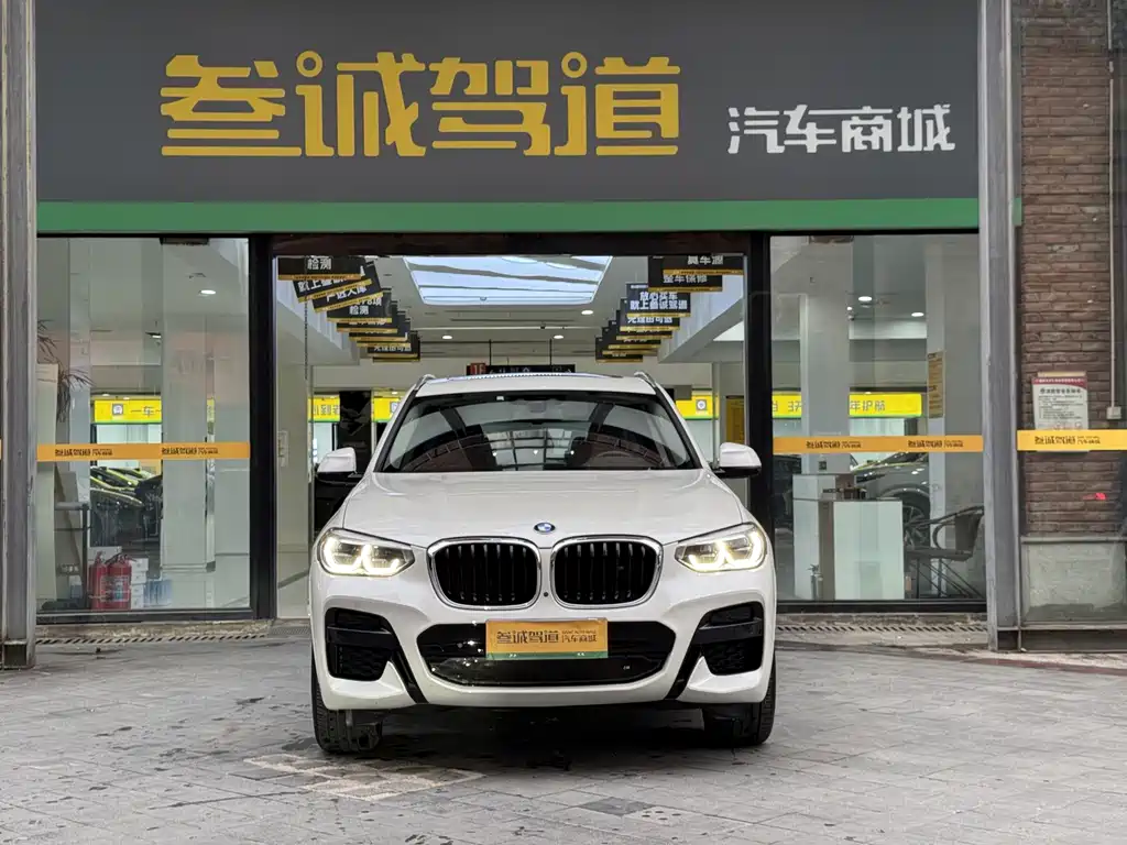 BMW X3 — миниатюра 2