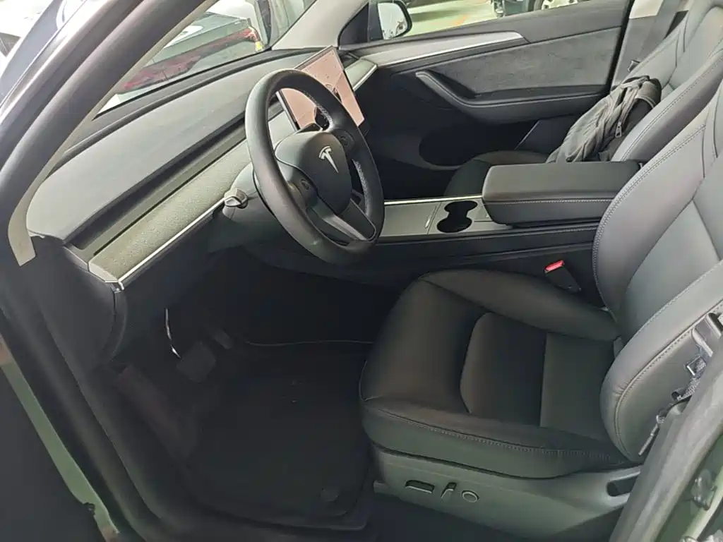 Tesla Model Y — миниатюра 15