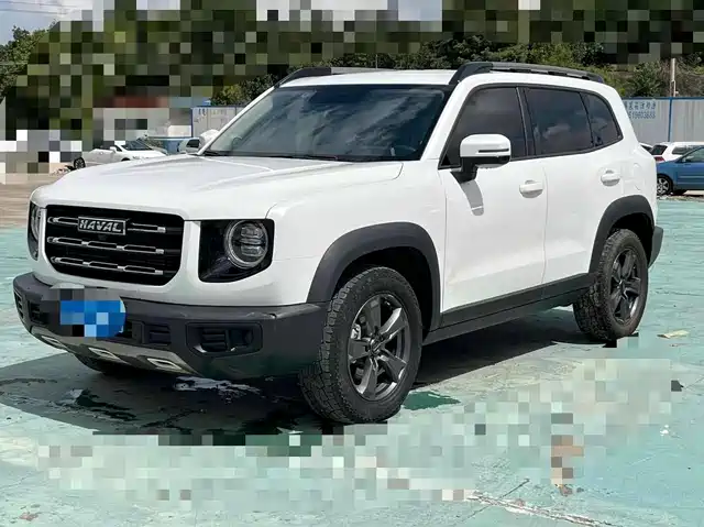 2021 Haval Big Dog