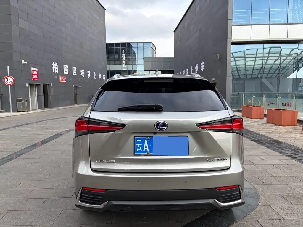 LEXUS NX