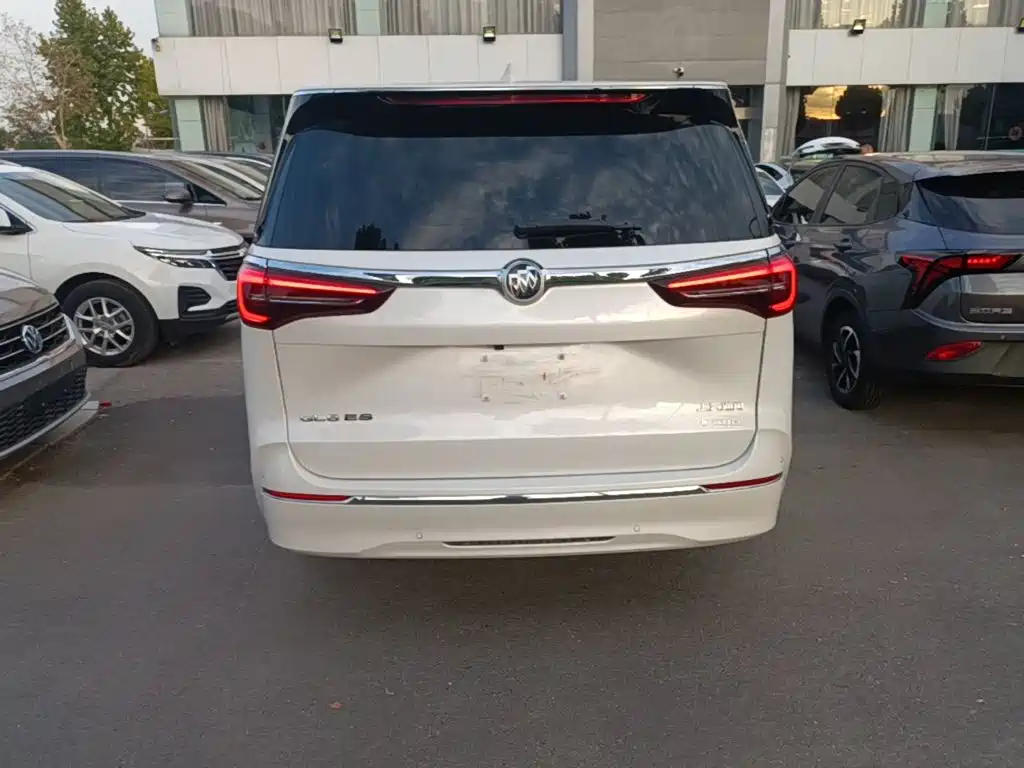Buick GL8 — миниатюра 6