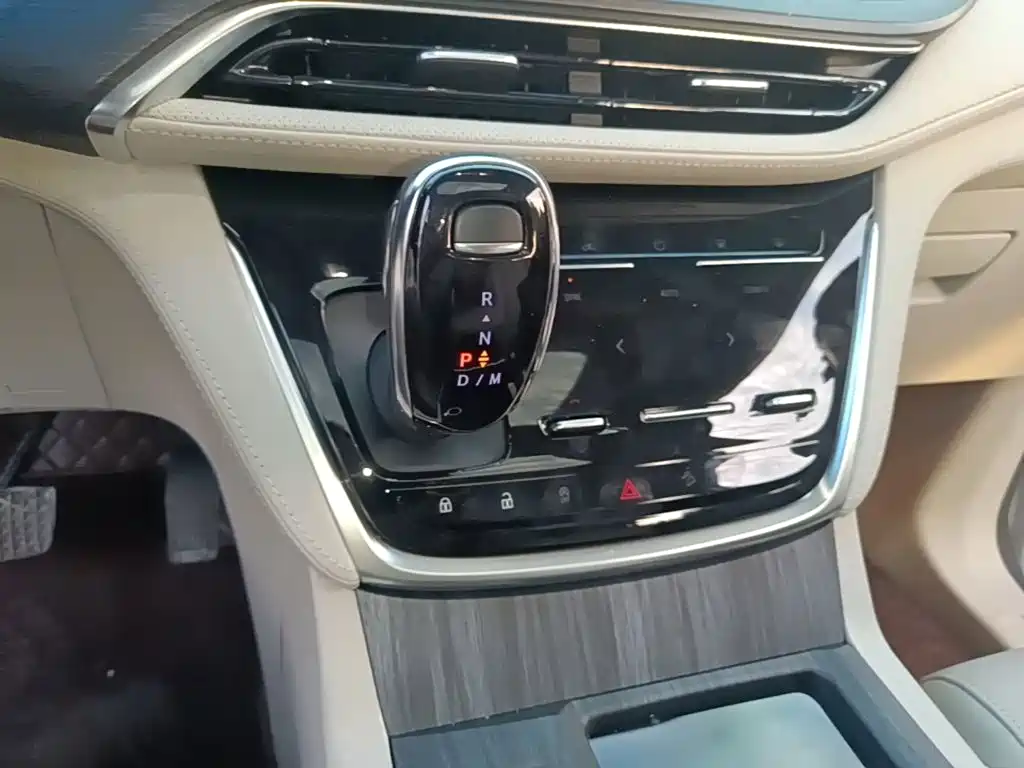 Buick GL8 — миниатюра 14