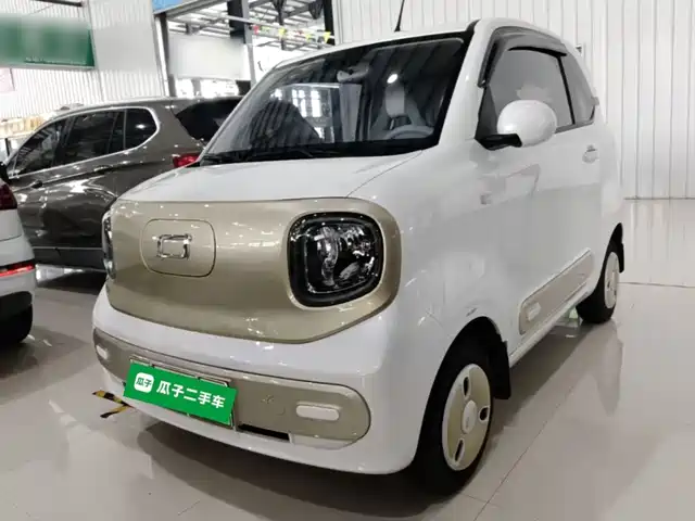 2024 Bestune Pony