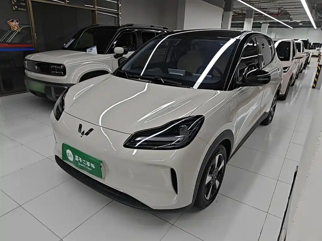 Wuling Bingo PLUS 2024
