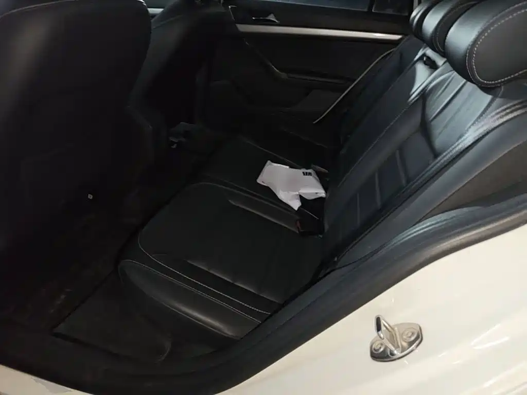 Volkswagen Gran Lavida — миниатюра 17