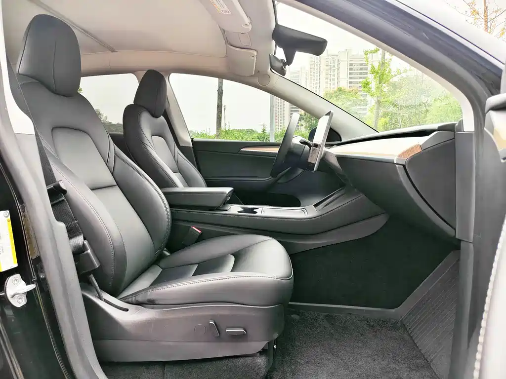 Tesla Model Y — миниатюра 10
