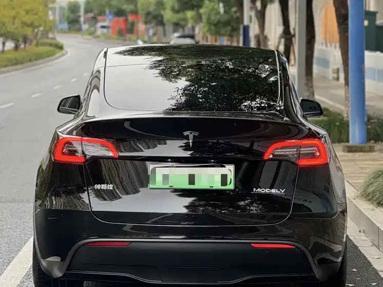 Tesla Model Y 2022 Performance