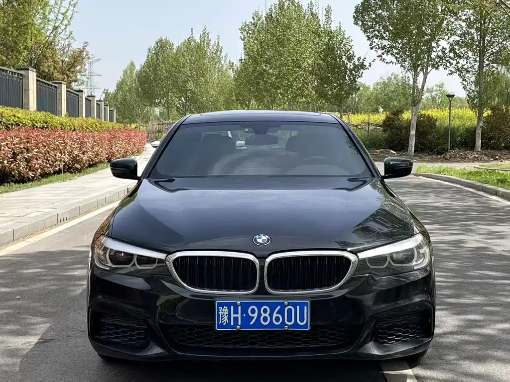 BMW 5 Series 5 2020 525Li M Sport