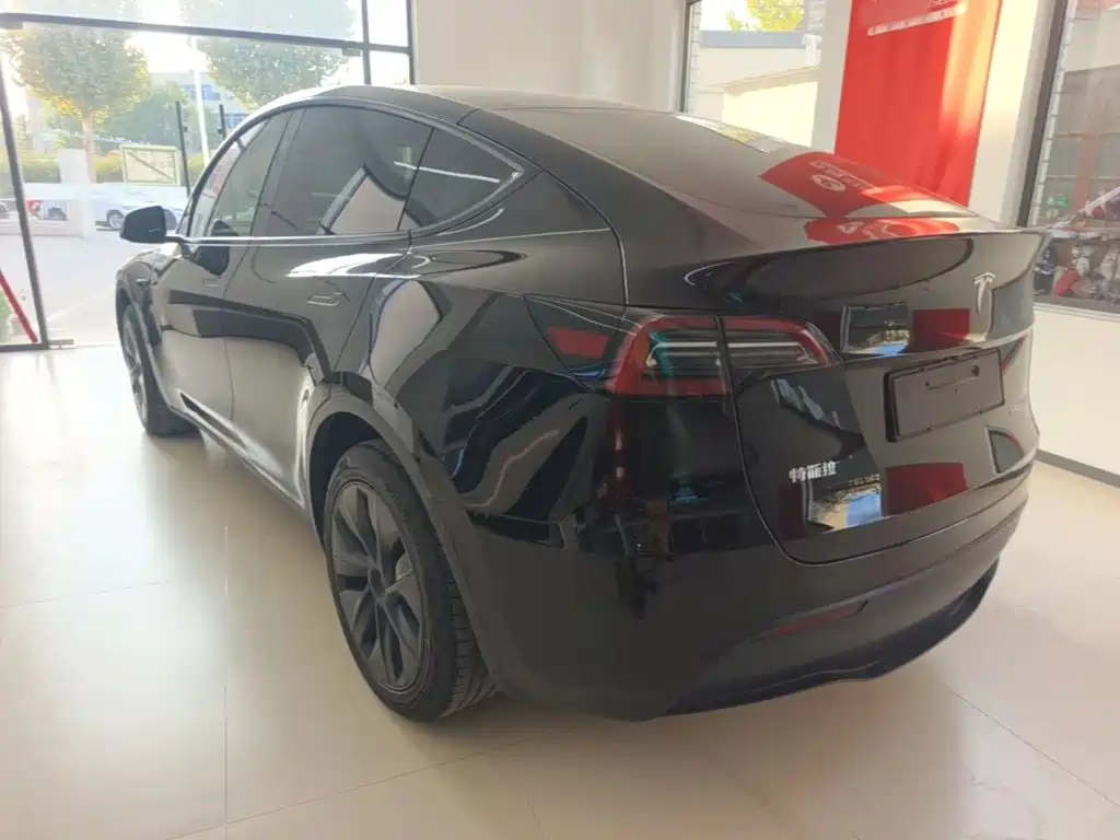 Tesla Model Y — миниатюра 5