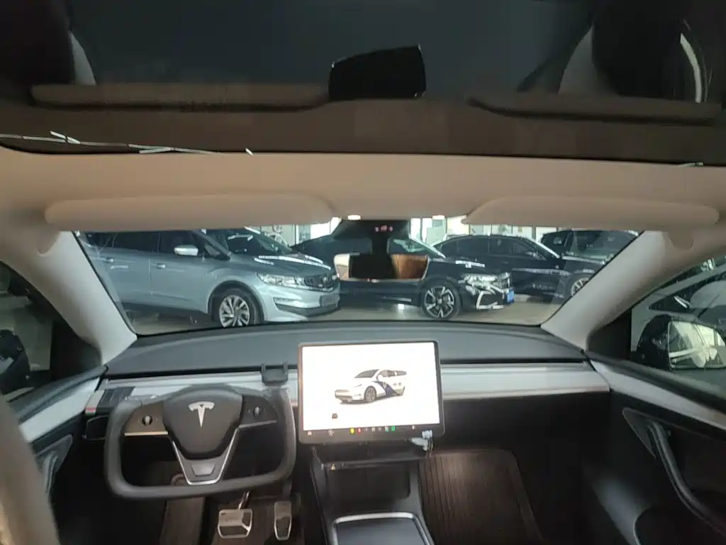 Tesla Model Y — миниатюра 18