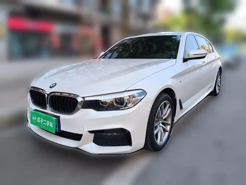 BMW 5 Series 2019