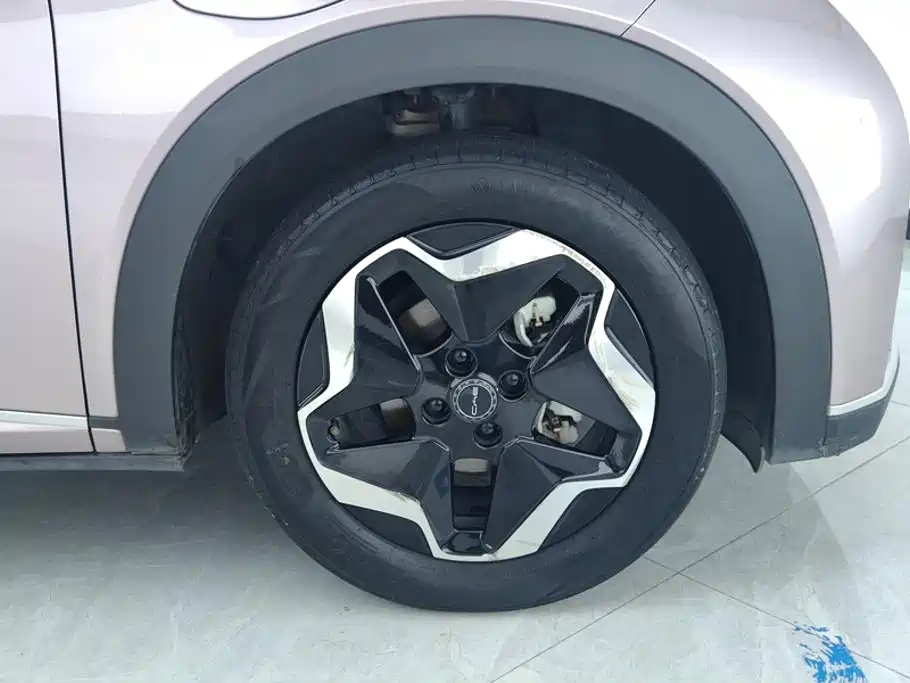 BYD Dolphin — миниатюра 6