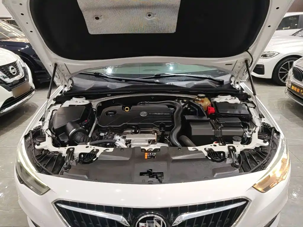 Buick Regal — миниатюра 20