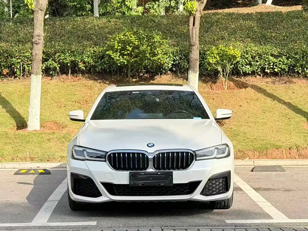 BMW 5 Series — миниатюра 2
