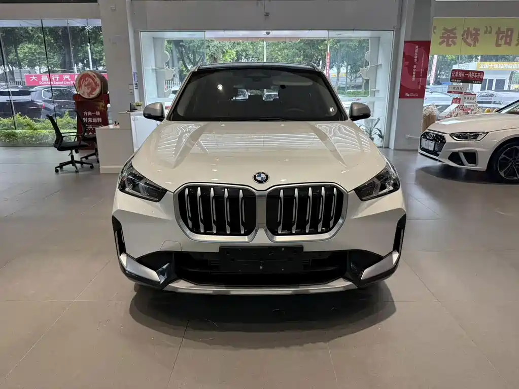 BMW X1 — миниатюра 2