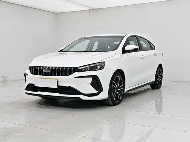 2024 Geely Binrui