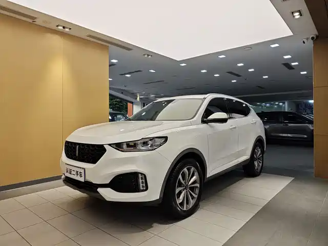 2019 Wey VV6