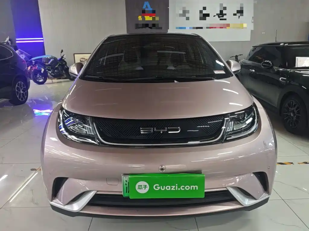 BYD Dolphin — миниатюра 3