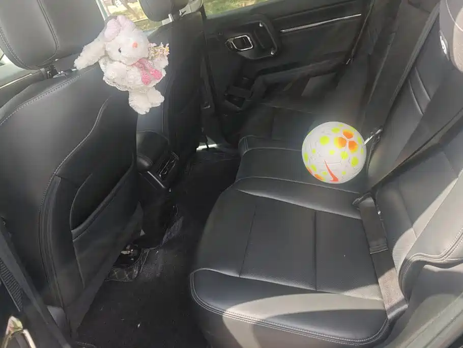 Haval Big Dog PLUS — миниатюра 11