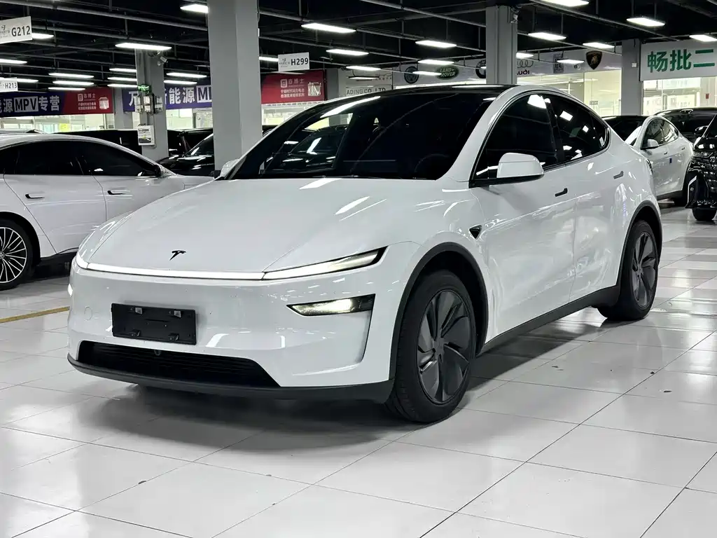 Tesla Model Y — миниатюра 3