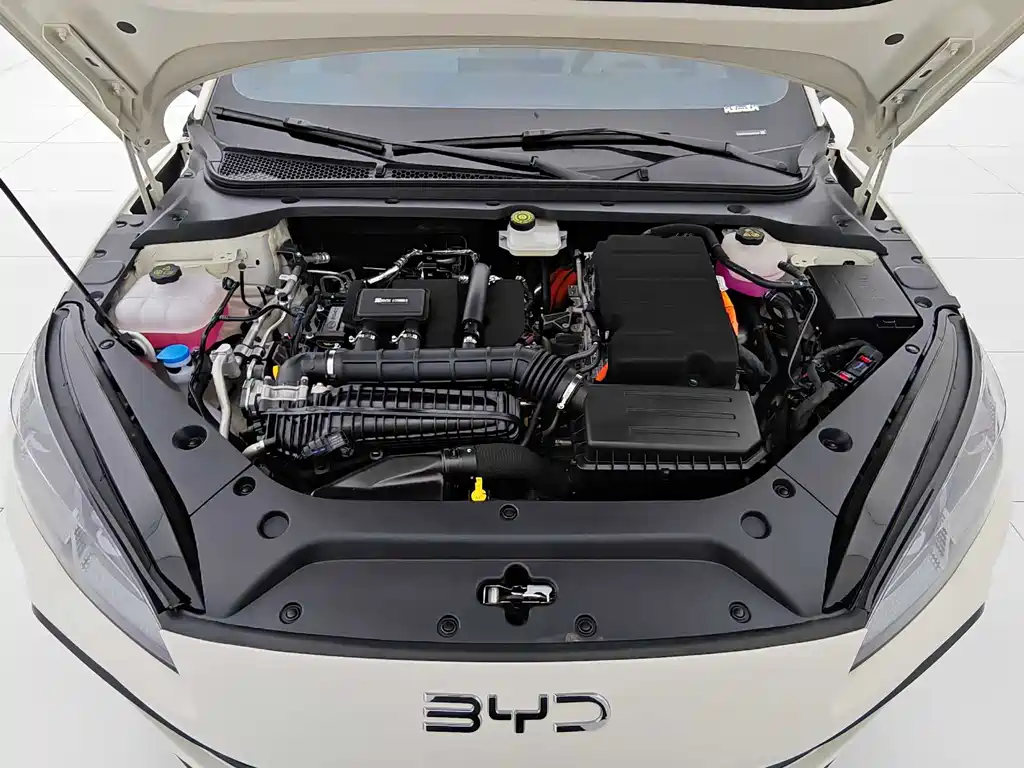 BYD Seal 06 06 2024 DM-i 120KM