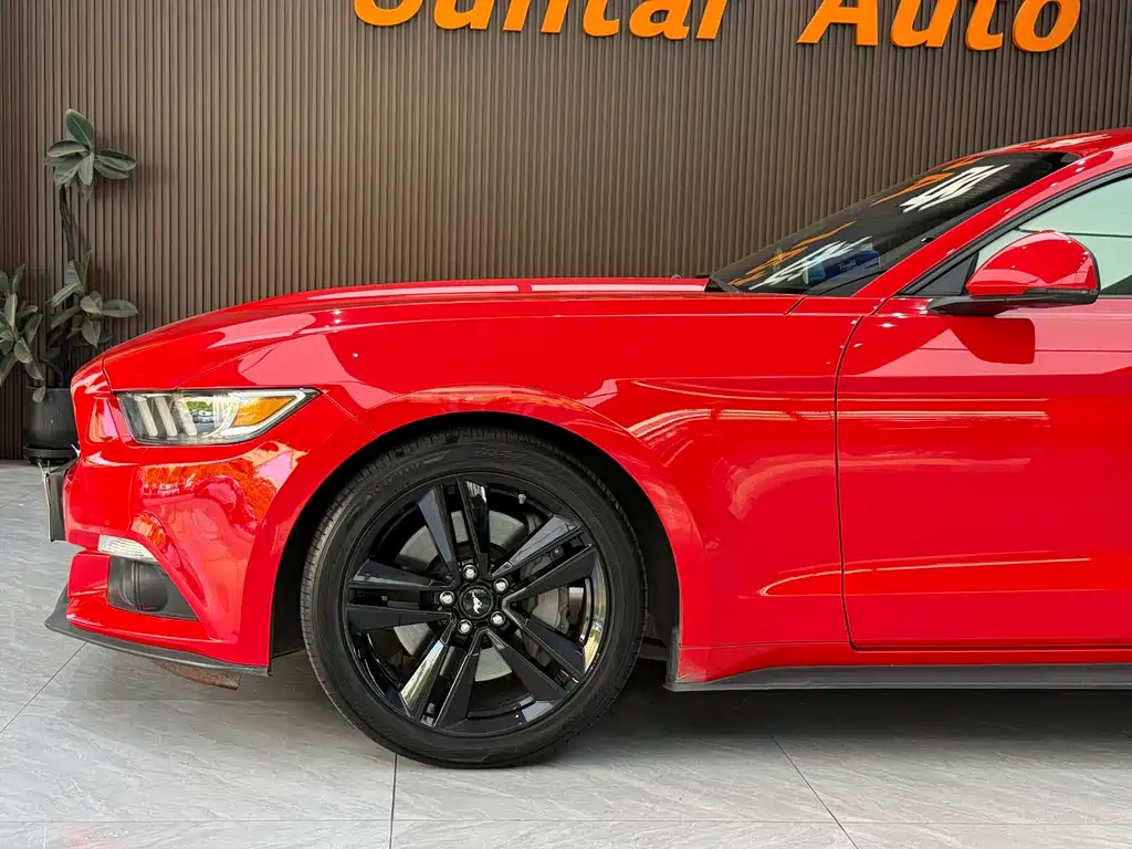 Ford Mustang — миниатюра 23