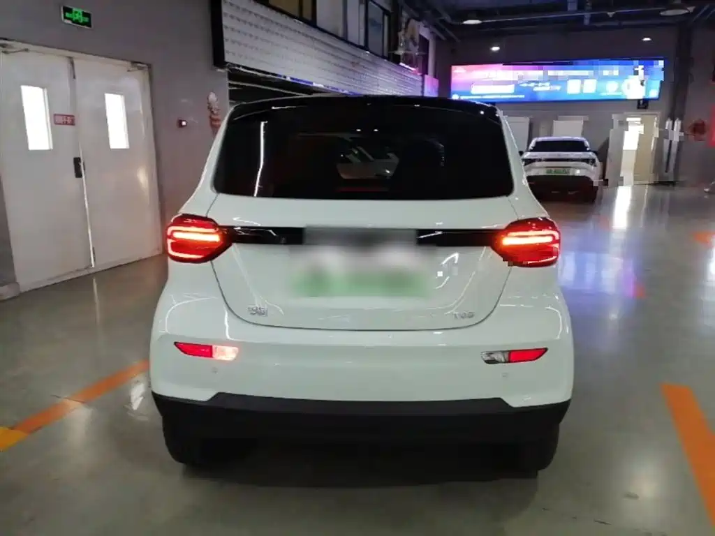 Leapmotor T03 2025 310