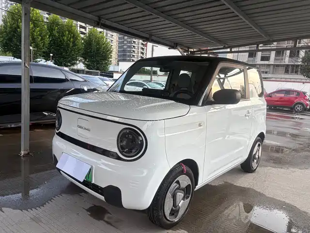2023 Geely LC (Panda)