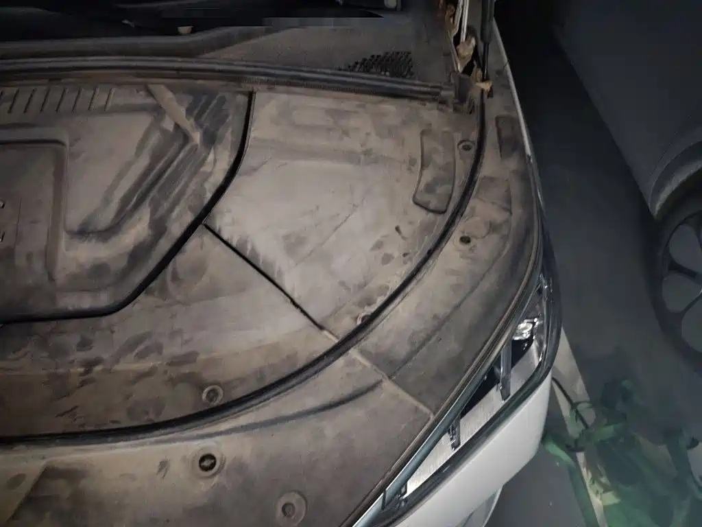 BYD PLUS New Energy — миниатюра 22
