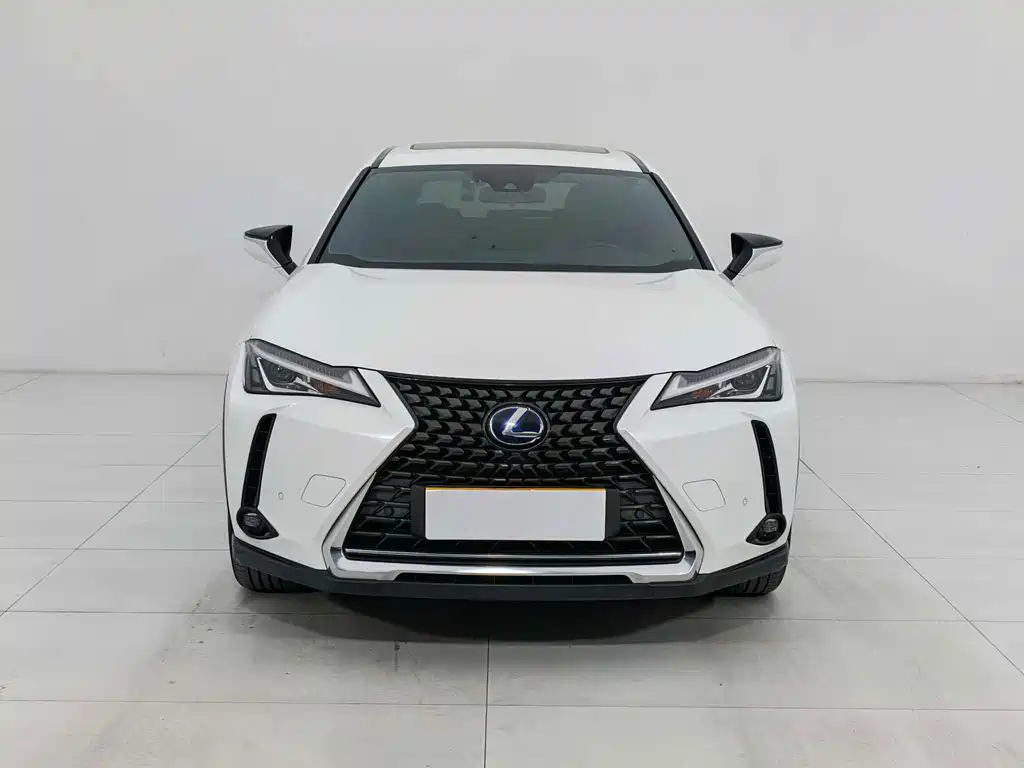 Lexus UX New Energy — миниатюра 2